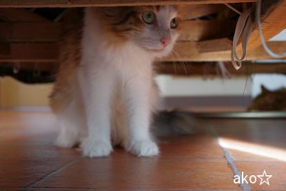 そろそろ・・・出ようかなぁ～