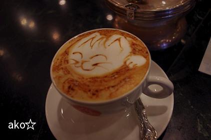 ネコでした！！