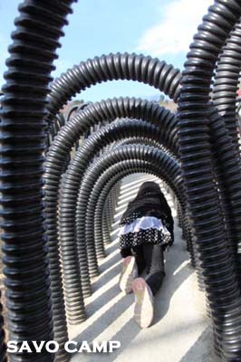 ボーン・ケイビング