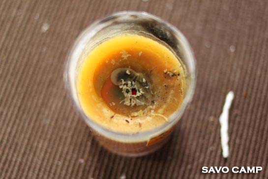 ろうそくの芯２