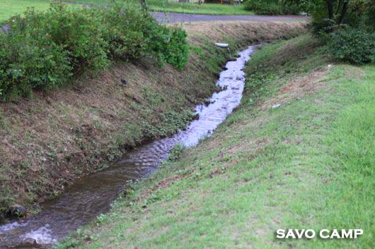 出会いの森総合公園オートキャンプ場５