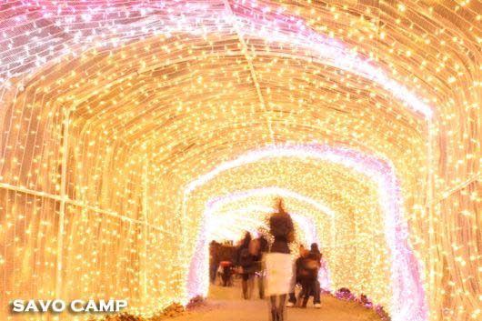 イルミリオン(光のトンネル)