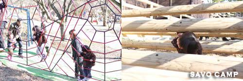 スパイダークライム