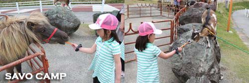 ポニーに餌やり