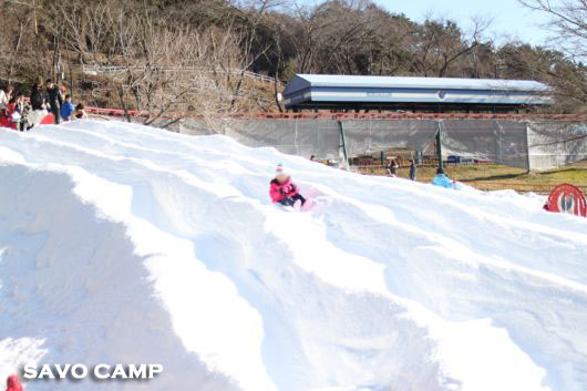 プレジャーフォレスト