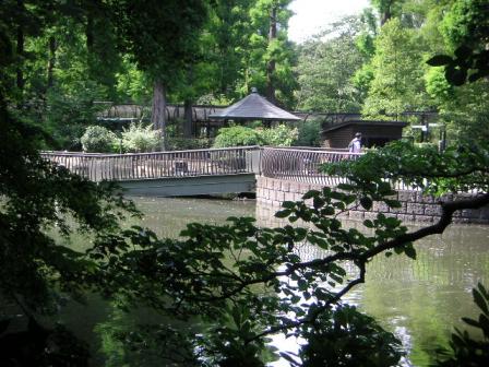 井の頭公園３