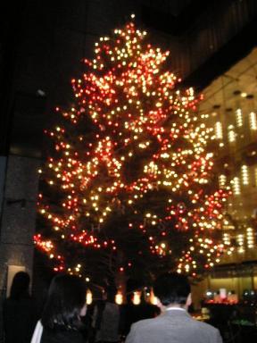 銀座ミキモトツリー