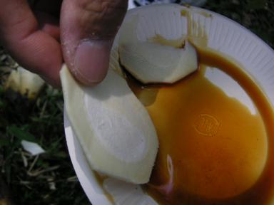 筍堀り生で試食(^^)v