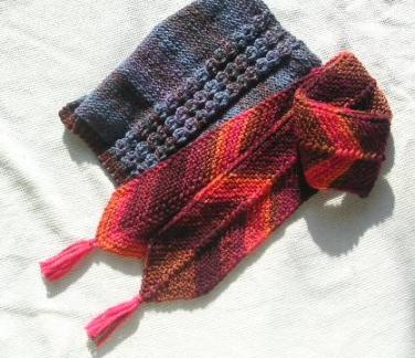 ゲディフラチャンドラ犬服と赤マフラー