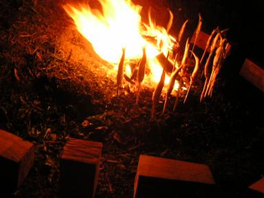 鮎と岩魚を焼いています(^_^)