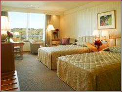 Palace Hotel
