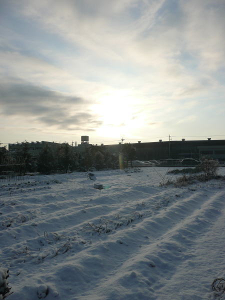 2010020201.jpg