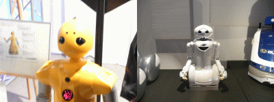 2008012502.gif