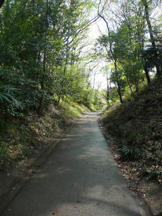 1004kokubunji03.jpg