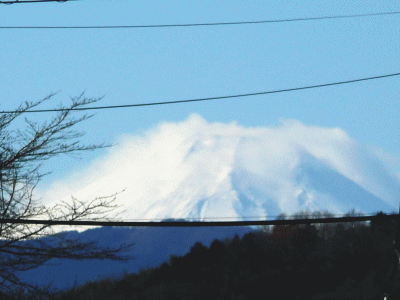 2008010101.gif