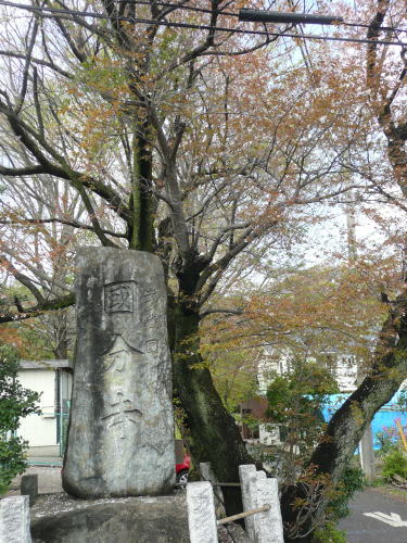 1004kokubunji07.jpg