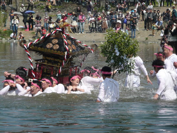 1004hamura-mikoshi03.jpg