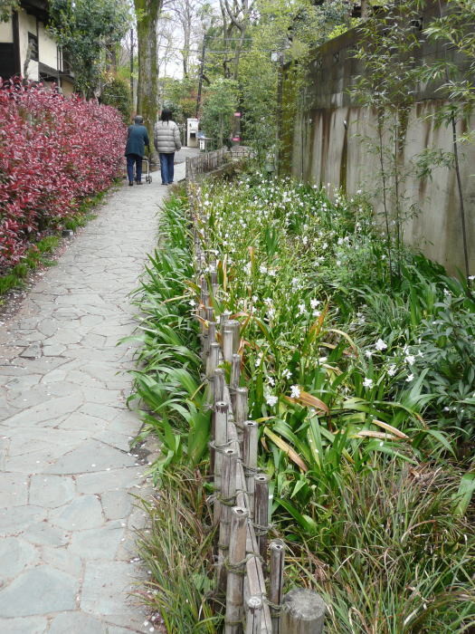 1004kokubunji13.jpg