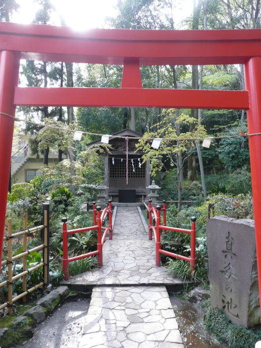 1004kokubunji14.jpg