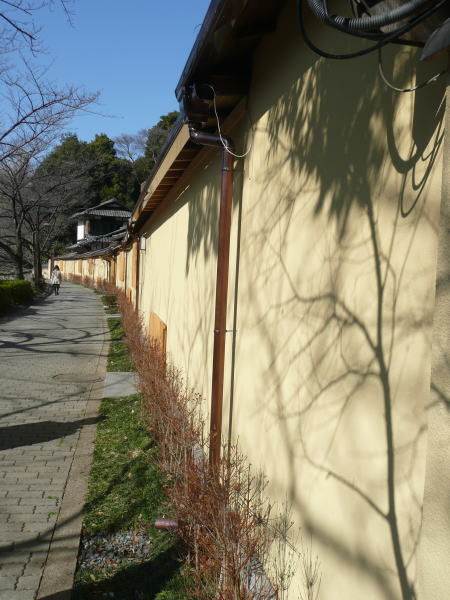 2010020303.jpg