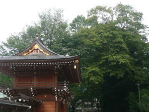 2008091302.jpg