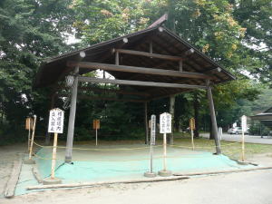 2008091303.jpg