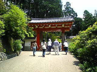 三室戸寺