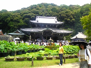 三室戸寺２