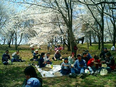 ohanami-1