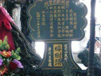 榕樹頭石碑