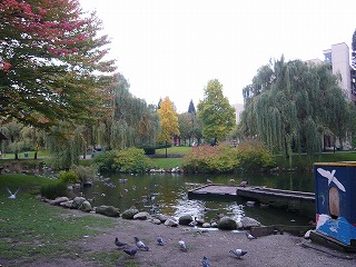 P1010067.jpg