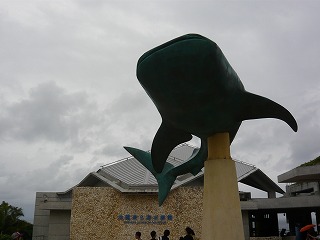 P1010262.jpg