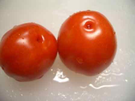tomato