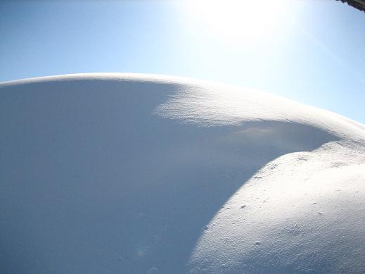 026.JPG