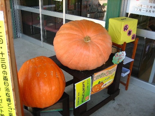 kabocha