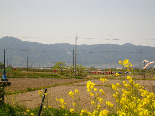 koinobori