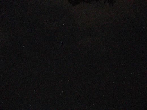 061.JPG