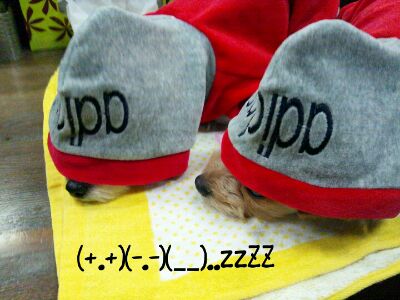 rps20111220_195815.jpg