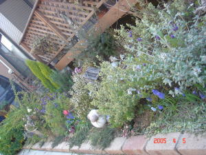 garden_20050405e