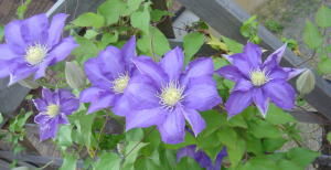 20050430b