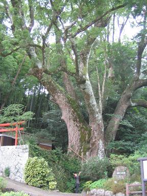 まっする氏と大楠さん