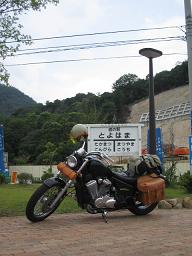 とよはま