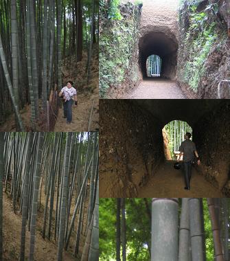 土井竹林