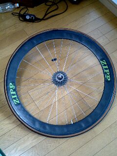 ZIPP1