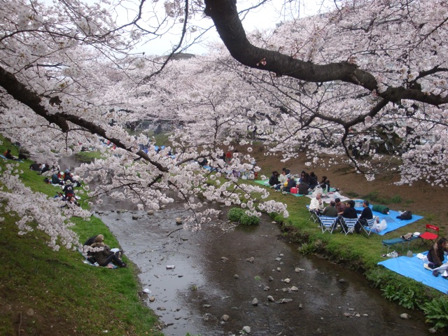 根川緑道１