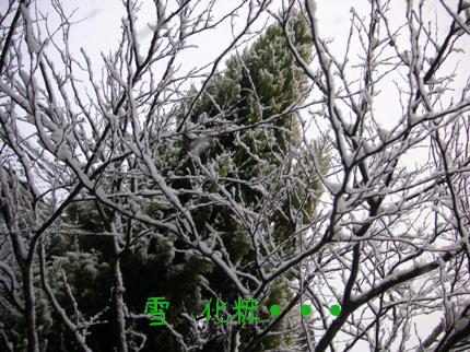 雪化粧