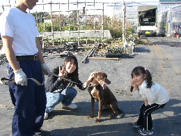 ラッシーと焼き芋