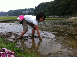 6/5三女一人で田植え