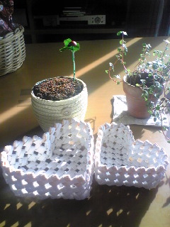 ｋａｂｕちゃんからのプレゼント