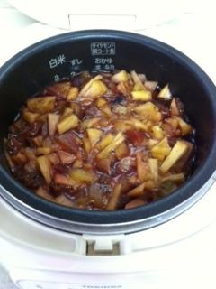 酵素ジュース炊飯器編翌日